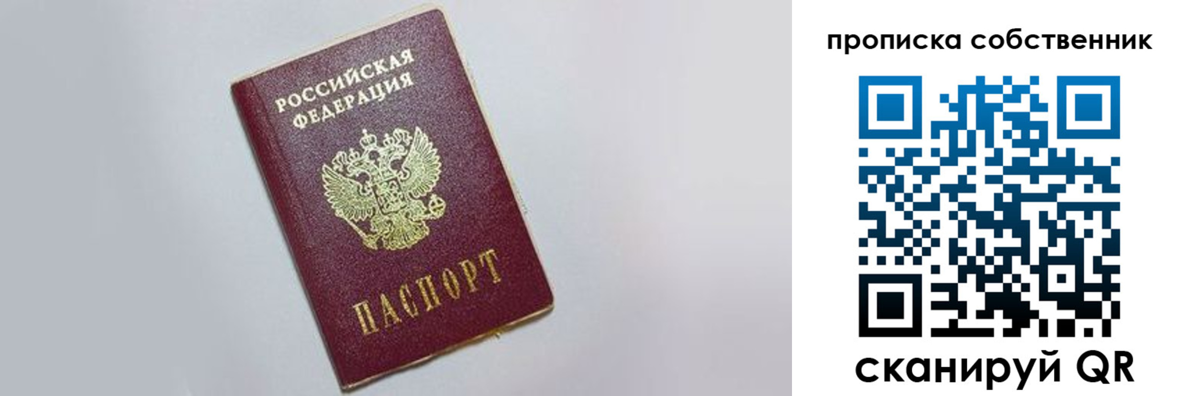 где прописаться в Павловске